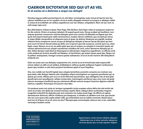 screenshot of flyer 1