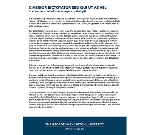 screenshot of flyer 2