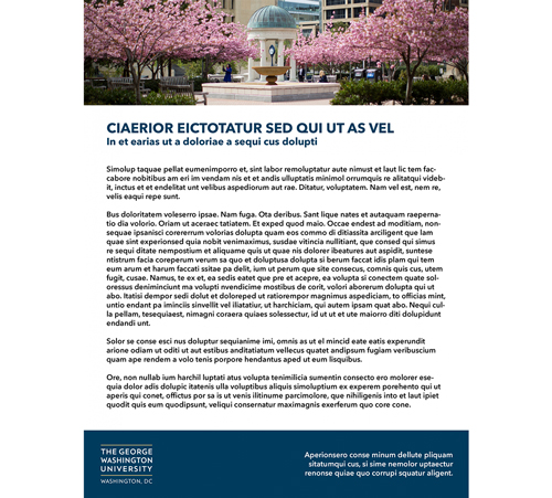 screenshot of flyer 3 (cherry blossoms in Kogan Plaza header image)